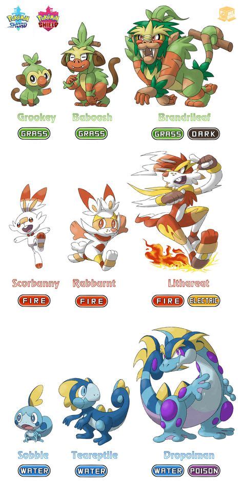 Pokemon Sword/Shield - Starter Pokemon Evolutions by BoxBird (With ...