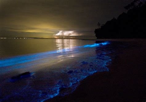 Vaadhoo Island Beach at Night, Maldives – InspirationSeek.com