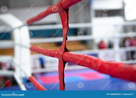 Boxing Ring Ropes Background