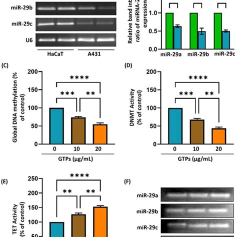 Expression of miR-29 in A431 and the effect of GTPs on epigenetic ...