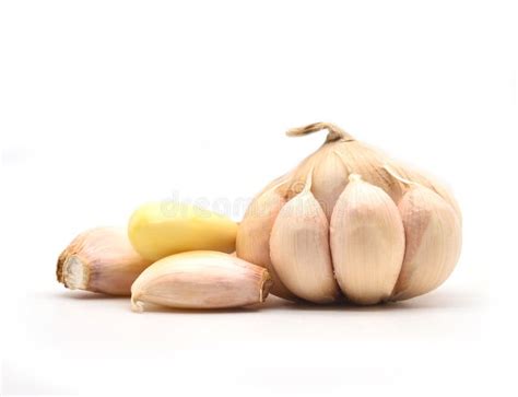 Garlic and herbs stock image. Image of aromatic, fresh - 43533699