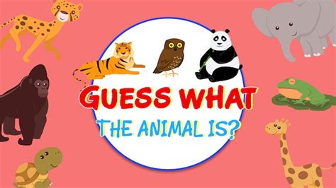 Guessing Games - One4Kids TV