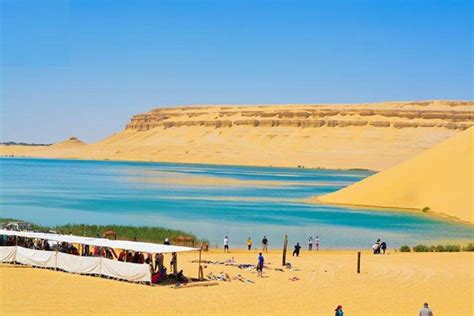 Your Ultimate Guide to Fayoum, Egypt's Heavenly Oasis - Scoop Empire