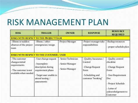 Risk Management Plan Example