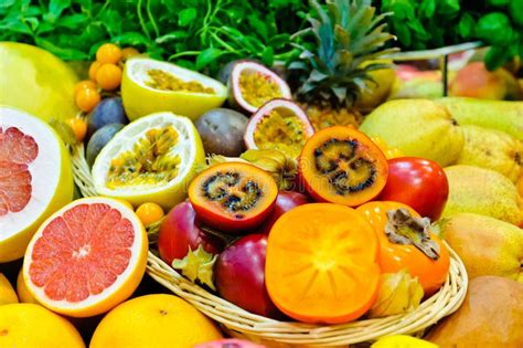 Exotic fruits stock photo. Image of tropical, assortment - 23130722