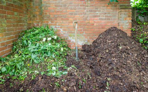 How to Make Leaf Mold Compost from Autumn Leaves - Minneopa Orchards