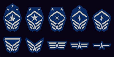 Enlisted grade insignia : r/SpaceForce