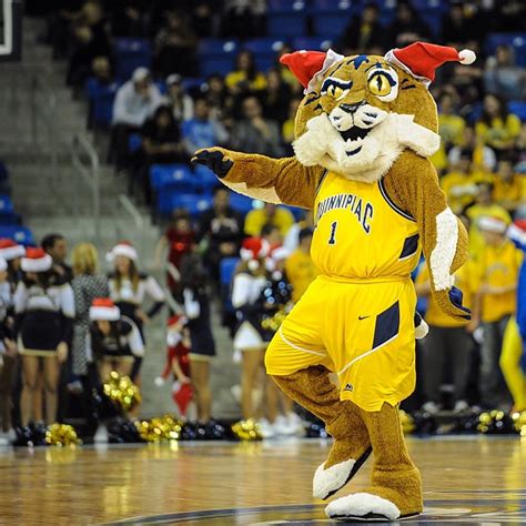 Quinnipiac Bobcats mascot, Boomer the Bobcat. | Mascot, Sports advertising, Bobcat