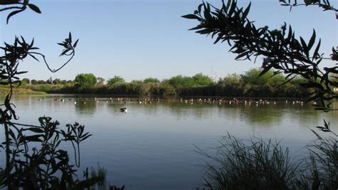 Gilbert Riparian Preserves IBA - Arizona Important Bird Areas Program