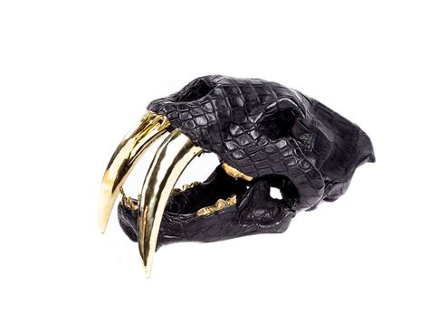 Saber Tooth Tiger Skull Replica with Leather Head and Metal Teeth