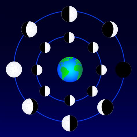 Free Moon Phases Cliparts, Download Free Moon Phases Cliparts png ...