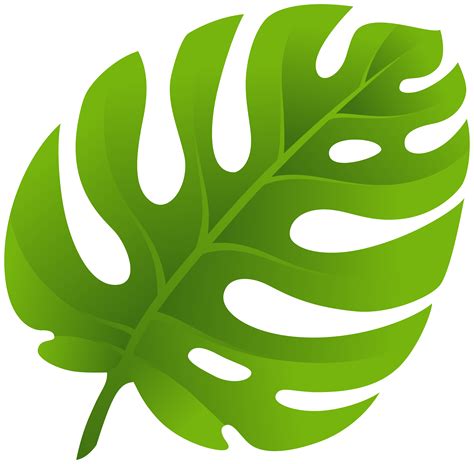 Leaf Clip art - monstera png download - 8000*7838 - Free Transparent ...