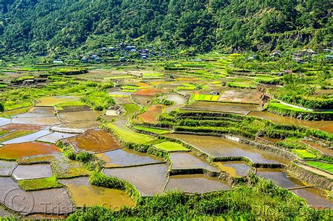 rice terraces, sagada, philippines