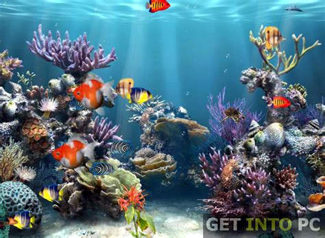 🔥 [49+] Aquarium Wallpapers and Screensavers | WallpaperSafari