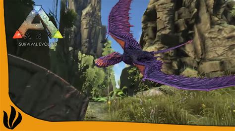 DIMORPHODON ELITE - ARK: Survival Evolved #3 (S5) - YouTube