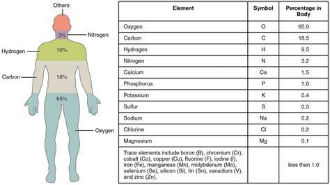 3.2 What are living things made of? – The Evolution and Biology of Sex