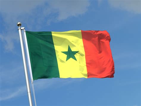 Senegal Flagge kaufen - 90 x 150 cm - FlaggenPlatz Online Shop