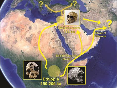 Was the exodus of Homo sapiens out of Africa paced by orbital cycles ...