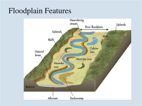 Floodplain Formation Diagram