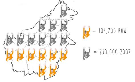 Critically Endangered Orangutans: How Many Bornean Orangutans Are Left?