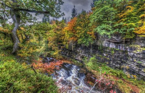 scotland, Waterfalls, Autumn, Trees, Hdr, Clyde, Valley, Woodlands, Nature Wallpapers HD ...