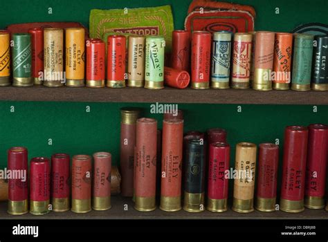 A selection of vintage shotgun cartridges Stock Photo, Royalty Free ...