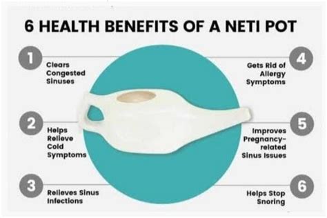 Neti Pot: Can it Help Clear your Nose? - REPC