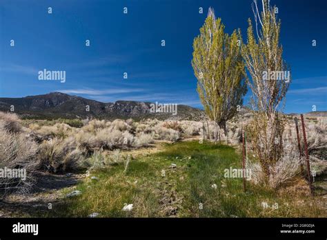 Semi desert climate hi-res stock photography and images - Alamy