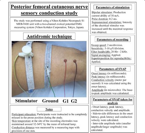 Details of posterior femoral cutaneous nerve sensory conduction study... | Download Scientific ...