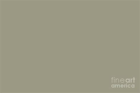 Earthy Mid-tone Green Brown Solid Color Pairs To Sherwin Williams At Ease Soldier SW 9127 ...