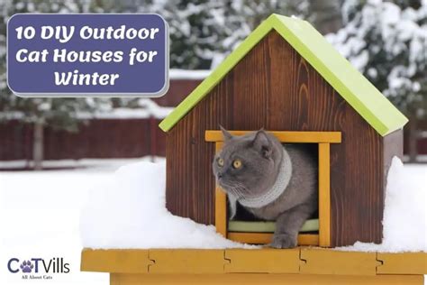 10 Awesome DIY Outdoor Cat House for Winter (TRY IT!)