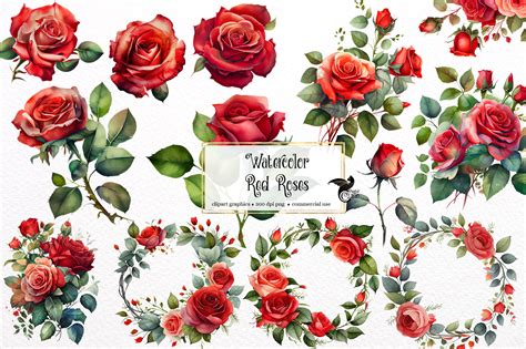 Watercolor Red Roses Clipart Roses and Leaves in PNG Format - Etsy UK