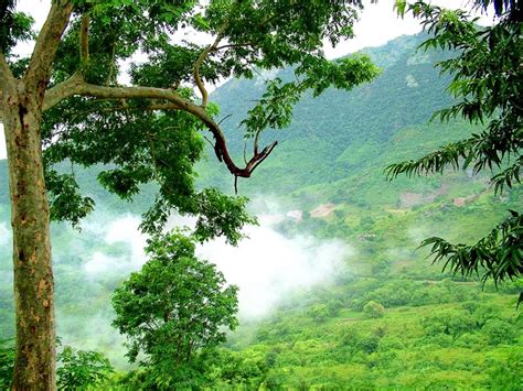 Vizag - Araku valley tourist information - Hi Vizag