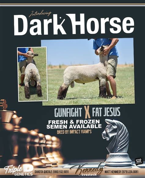 Dark Horse - Championdrive.com