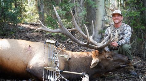 Elk Hunting Bow Kill Shots at Hattie Thiessen blog