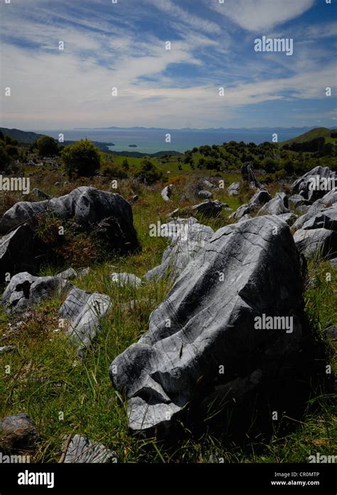 Takaka Hill, looking towards Tasman Bay, New Zealand Stock Photo - Alamy