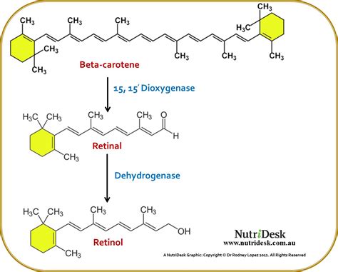 vitamin-a-carotenoids-beta-carotene