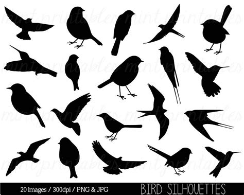 Bird Clipart Clip Art, Bird Silhouette Clipart, Cute Bird, Animal Clipart, Swallow, Sparrow ...