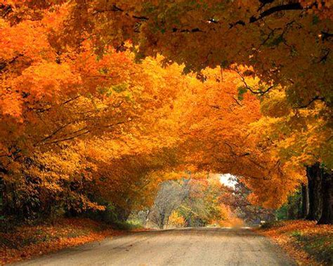 autumn road | Fall in michigan, Autumn scenes, Fall pictures