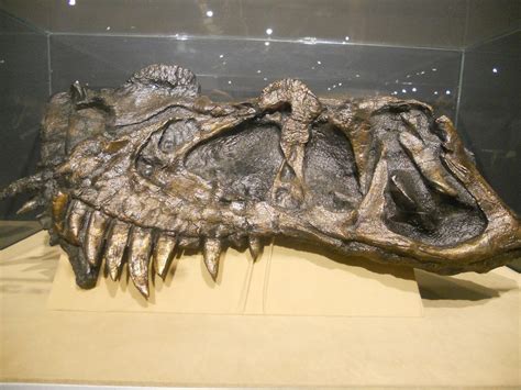 Prehistoric Beast of the Week: Ceratosaurus: Beast of the Week