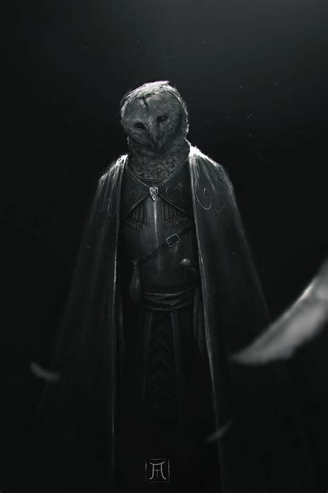 ArtStation - Owl Knight, Igor Krstic | Fantasy character design ...