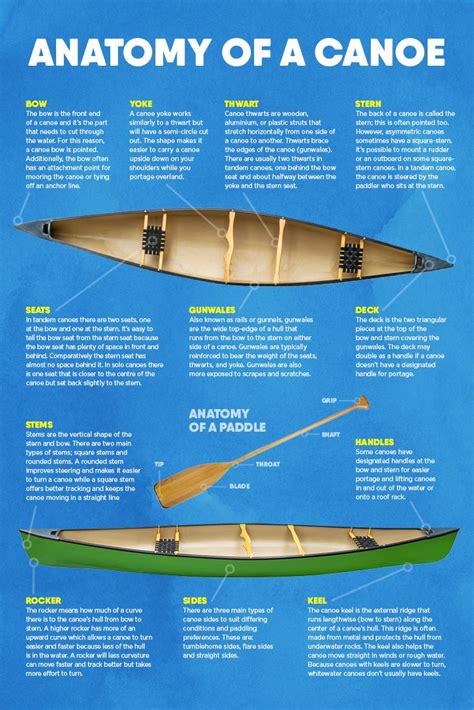 The Parts Of A Canoe, Explained in 2021 | Canoe, Canoe camping, Canoe and kayak