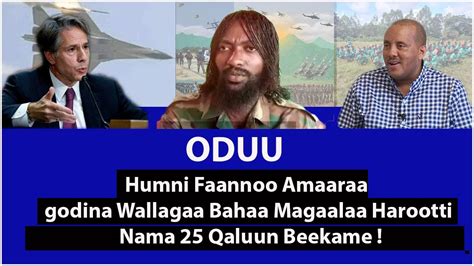 oduu Hatattama: Humni Faannoo Amaaraa Godina Wallagaa Bahaatti Nama 25 Qaluun Beekame - YouTube