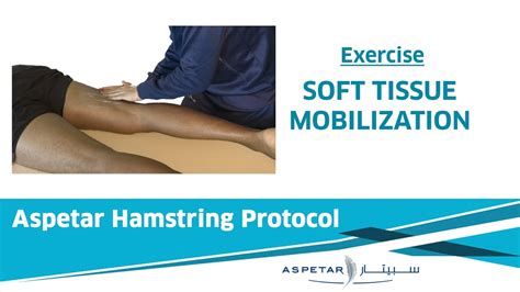 24. Exrcises - SOFT TISSUE MOBILIZATION - YouTube