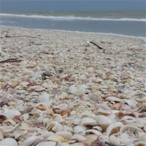 Bowman’s Beach - 170 Photos & 76 Reviews - Beaches - 1700 Bowmans Beach Rd, Sanibel, FL - Yelp