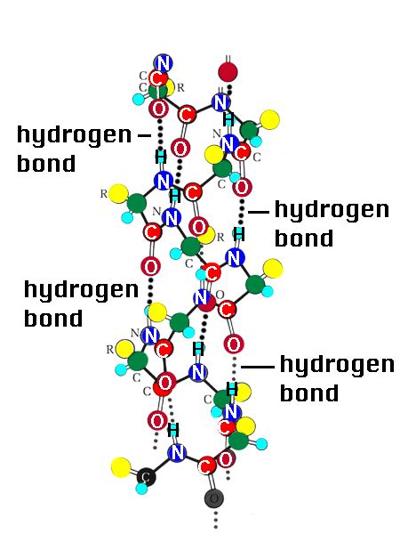 different types of bonds. | justanotherbiochemian