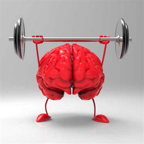 The Role Your Brain Plays in Strength Development • Cathe Friedrich