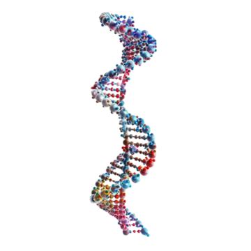 Gene Therapy Color Dna Genetic Helix Transparent Background, Gene ...