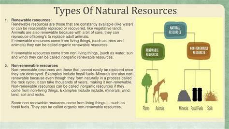 PPT - Natural Resource Depletion - Reasons & Effects PowerPoint Presentation - ID:7777610