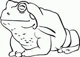 Free Printable Toad Coloring Pages For Kids sketch template
